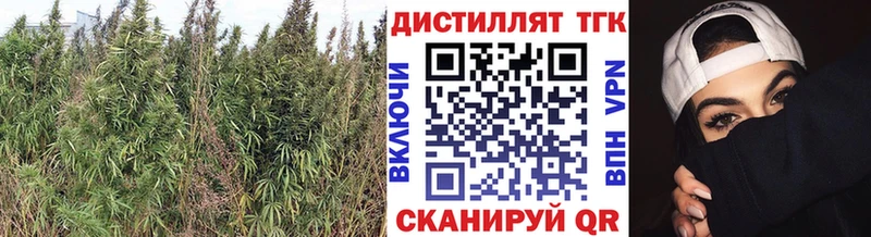 Дистиллят ТГК THC oil  Родники 